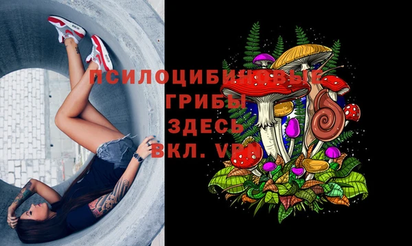 МДПВ Арсеньев