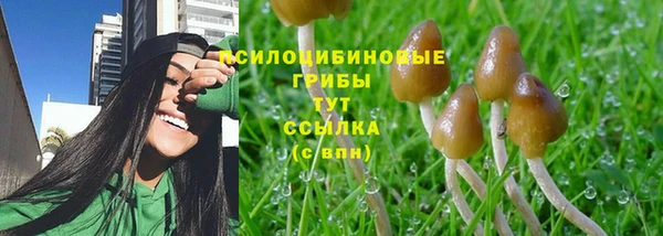 jwh Аркадак