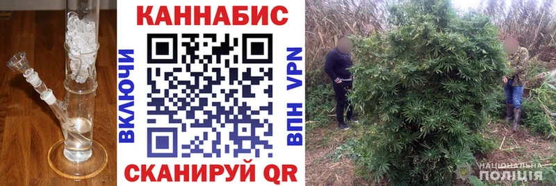 гидра tor что такое Любань МАРИХУАНА индика